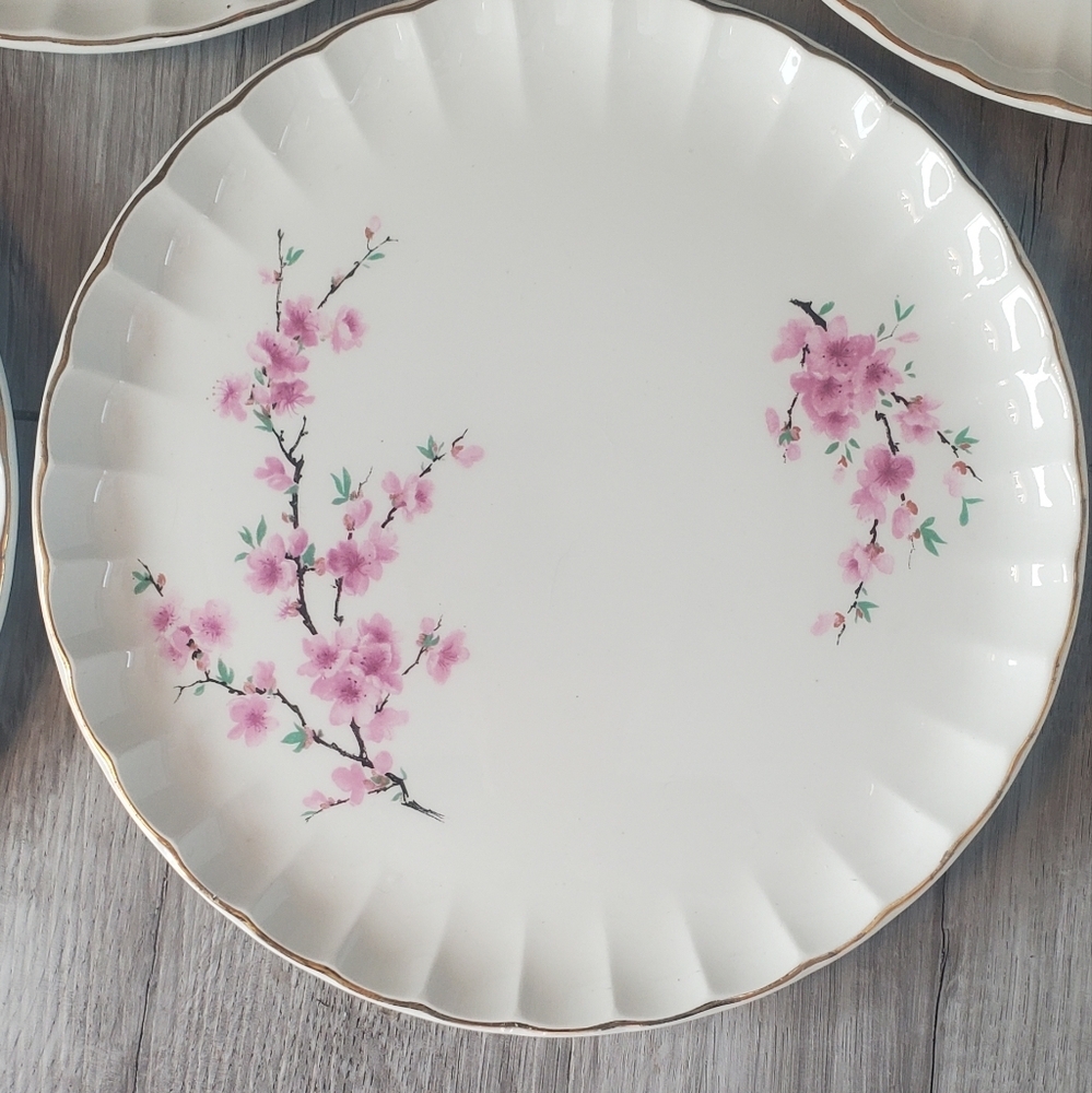 Vintage WS George Bolero Peach Blossom 10" Plates Year 1904-1954 Fine China - Picture 2 of 4